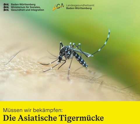 Asiatische Tigermücke bekämpfen